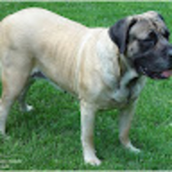 Meet your Posher, Norman - Picture 1 of 1